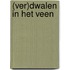 (Ver)dwalen in het veen