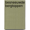 Besneeuwde bergtoppen door Y. van Beek