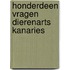 Honderdeen vragen dierenarts kanaries