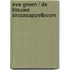 Eve Green / De blauwe sinaasappelboom