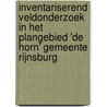 INventariserend veldonderzoek in het plangebied 'De Horn' Gemeente Rijnsburg door M.F.P. Dijkstra