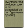 INventariserend veldonderzoek in het plangebied 'De Horn' Gemeente Rijnsburg by M.F.P. Dijkstra