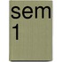sem 1