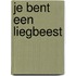 Je bent een liegbeest