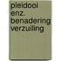 Pleidooi enz. benadering verzuiling