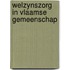 Welzynszorg in vlaamse gemeenschap