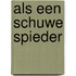 Als een schuwe spieder