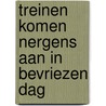 Treinen komen nergens aan in bevriezen dag door Veys