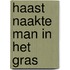 Haast naakte man in het gras