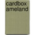 Cardbox Ameland