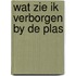 Wat zie ik verborgen by de plas