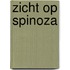 Zicht op Spinoza