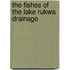 The fishes of the lake Rukwa drainage