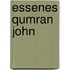 Essenes qumran john