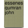 Essenes qumran john door Stegemann