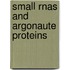 Small RNAs and Argonaute Proteins