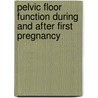 Pelvic floor function during and after first pregnancy door H.J. van Brummen