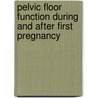 Pelvic floor function during and after first pregnancy by H.J. van Brummen