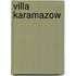 Villa karamazow