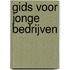 Gids voor jonge bedrijven