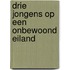 Drie jongens op een onbewoond eiland