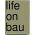 Life on bau