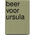 Beer voor ursula