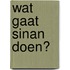 Wat gaat Sinan doen?
