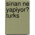 Sinan ne yapiyor? Turks