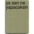 Ya sen ne yapacaksin