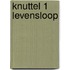 Knuttel 1 levensloop