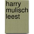Harry Mulisch leest