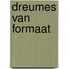 Dreumes van formaat by Ra Meyers