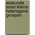 Wiskunde leren kleine heterogene groepen