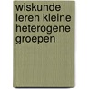 Wiskunde leren kleine heterogene groepen by Rudolf Dekker