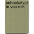 Schooluitval in VSO-MLK