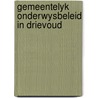 Gemeentelyk onderwysbeleid in drievoud door Onbekend