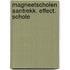 Magneetscholen aantrekk. effect. schole