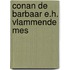 Conan de barbaar e.h. vlammende mes