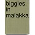 Biggles in malakka