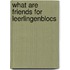 What are friends for leerlingenblocs