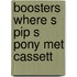 Boosters where s pip s pony met cassett