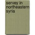 Servey in northeastern syria