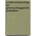 Ondernemerschap en grensverleggende praktijken