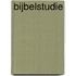 Bijbelstudie