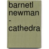 Barnetl Newman - Cathedra door Robyn de Jong-Dalziel