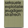 Seksuele exploitatie jeugdigen strafrech door Drewes