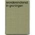 Wonderendienst in Groningen