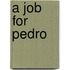 A job for Pedro