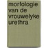 Morfologie van de vrouwelyke urethra